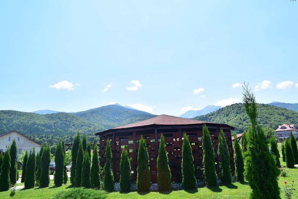 Sîmbăta de Sus 山丘之王旅馆酒店 外观 照片