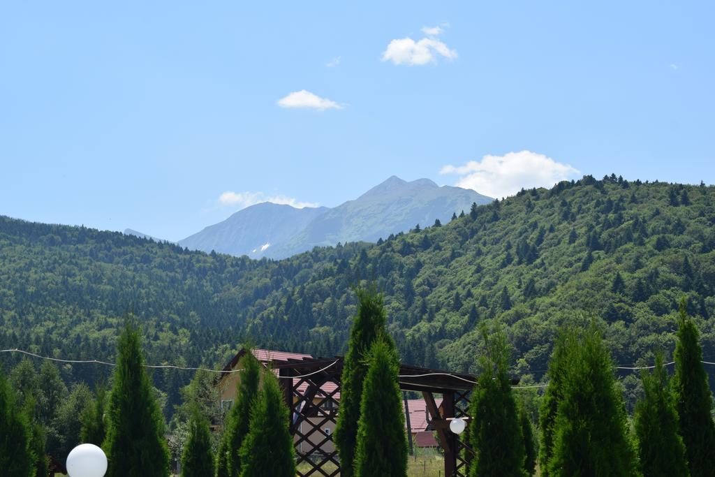 Sîmbăta de Sus 山丘之王旅馆酒店 外观 照片