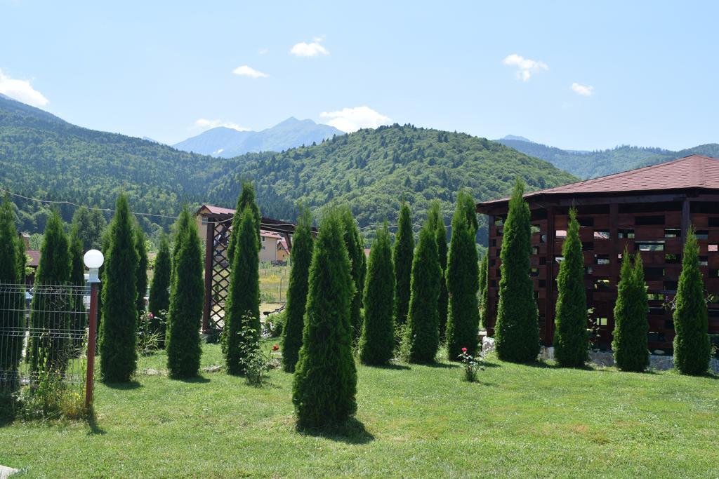 Sîmbăta de Sus 山丘之王旅馆酒店 外观 照片